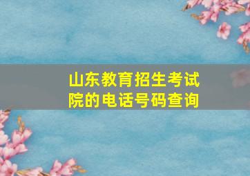 山东教育招生考试院的电话号码查询