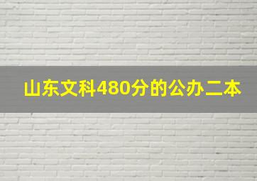 山东文科480分的公办二本