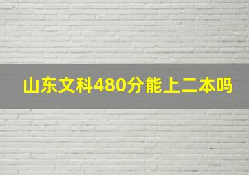 山东文科480分能上二本吗