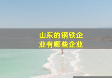 山东的钢铁企业有哪些企业