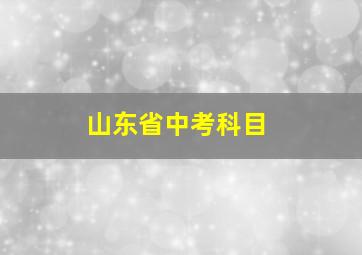 山东省中考科目