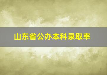 山东省公办本科录取率