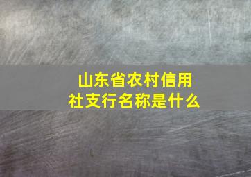 山东省农村信用社支行名称是什么