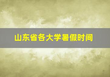 山东省各大学暑假时间