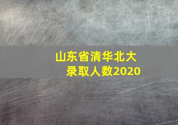 山东省清华北大录取人数2020