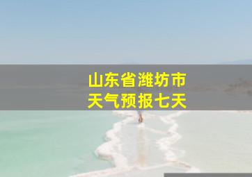 山东省潍坊市天气预报七天