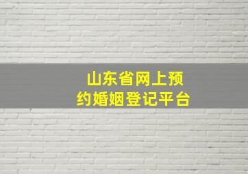 山东省网上预约婚姻登记平台