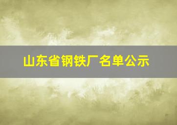 山东省钢铁厂名单公示