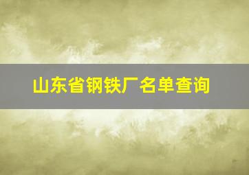 山东省钢铁厂名单查询