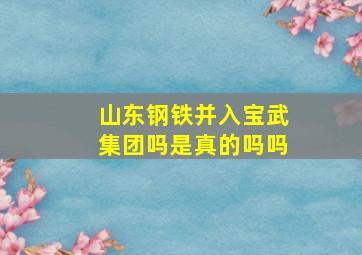 山东钢铁并入宝武集团吗是真的吗吗