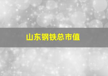 山东钢铁总市值