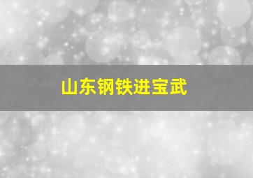 山东钢铁进宝武