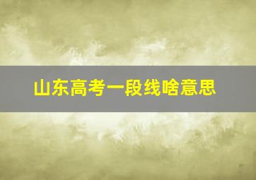 山东高考一段线啥意思