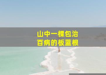 山中一棵包治百病的板蓝根