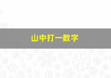 山中打一数字