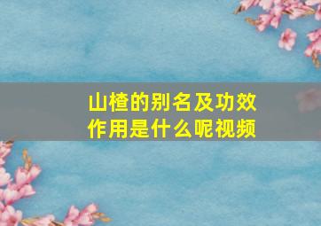 山楂的别名及功效作用是什么呢视频