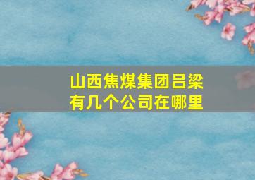 山西焦煤集团吕梁有几个公司在哪里