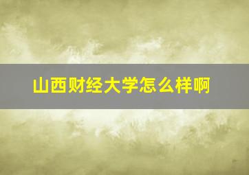 山西财经大学怎么样啊