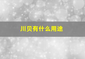 川贝有什么用途