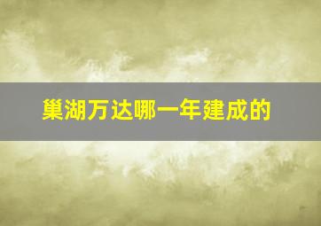 巢湖万达哪一年建成的