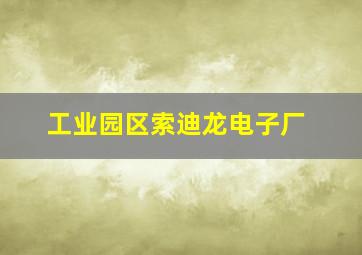 工业园区索迪龙电子厂