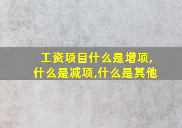 工资项目什么是增项,什么是减项,什么是其他