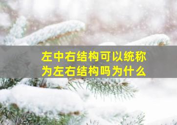 左中右结构可以统称为左右结构吗为什么