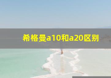 希格曼a10和a20区别