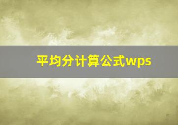 平均分计算公式wps