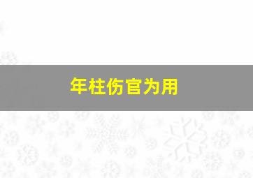 年柱伤官为用