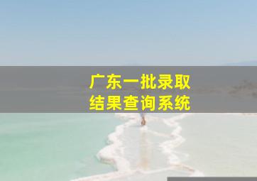 广东一批录取结果查询系统