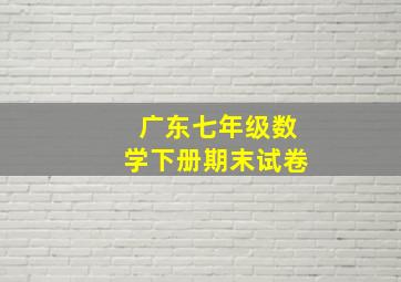 广东七年级数学下册期末试卷