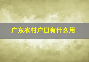 广东农村户口有什么用