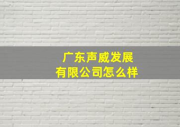 广东声威发展有限公司怎么样