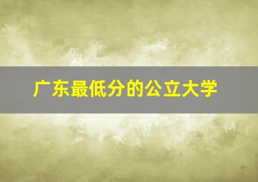 广东最低分的公立大学