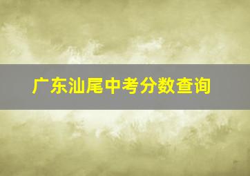 广东汕尾中考分数查询