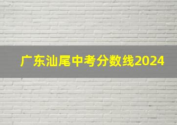 广东汕尾中考分数线2024