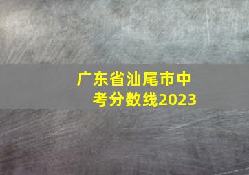 广东省汕尾市中考分数线2023