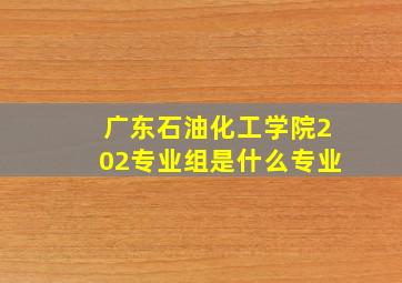 广东石油化工学院202专业组是什么专业