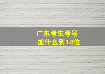 广东考生考号加什么到14位