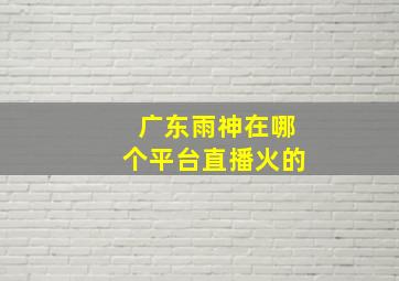 广东雨神在哪个平台直播火的