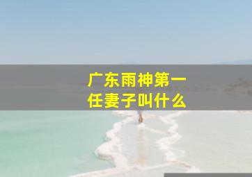 广东雨神第一任妻子叫什么