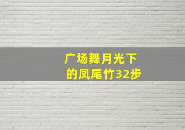 广场舞月光下的凤尾竹32步