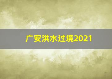 广安洪水过境2021