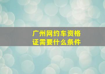 广州网约车资格证需要什么条件