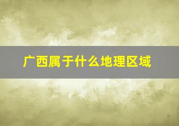 广西属于什么地理区域