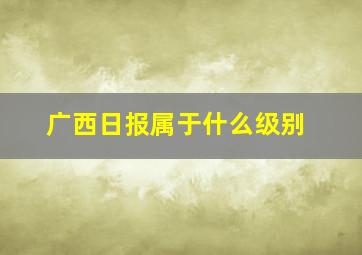 广西日报属于什么级别