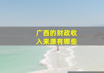 广西的财政收入来源有哪些