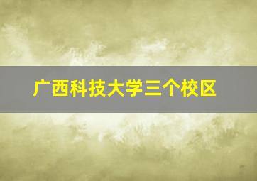 广西科技大学三个校区