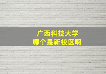 广西科技大学哪个是新校区啊